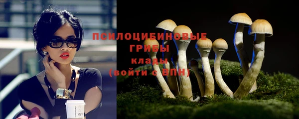 спиды Балахна
