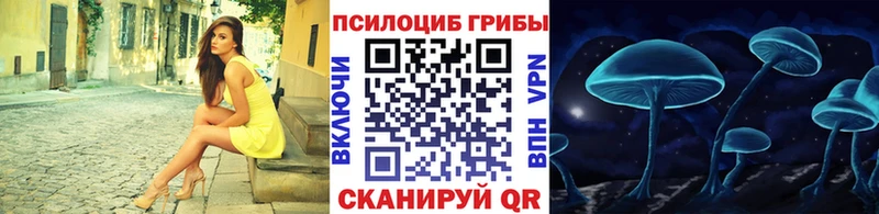 Псилоцибиновые грибы ЛСД  даркнет сайт  MEGA ссылки  Хасавюрт 