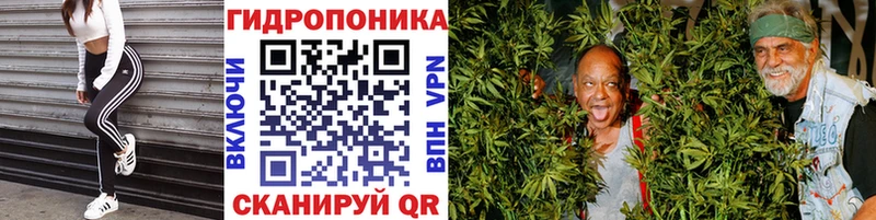 Шишки марихуана тримм  Хасавюрт 